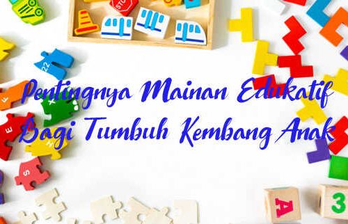 pentingnya mainan edukatif